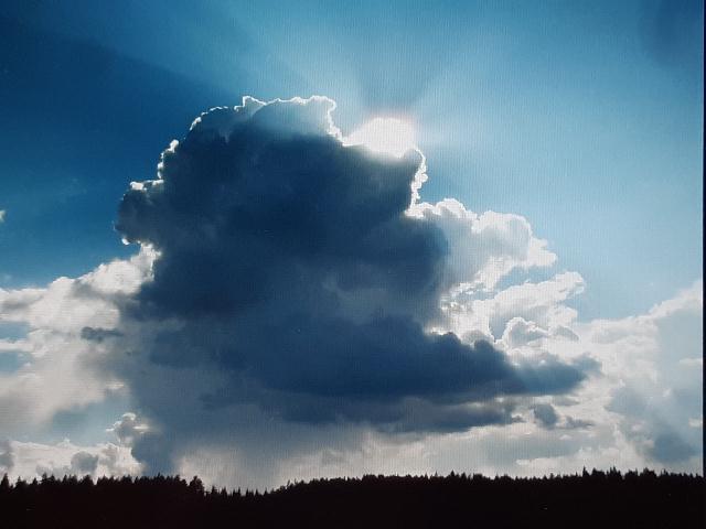 119