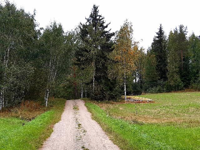 52