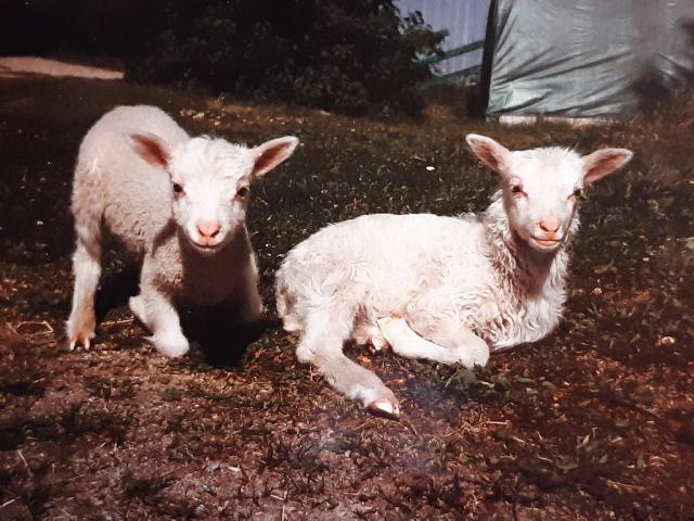 93