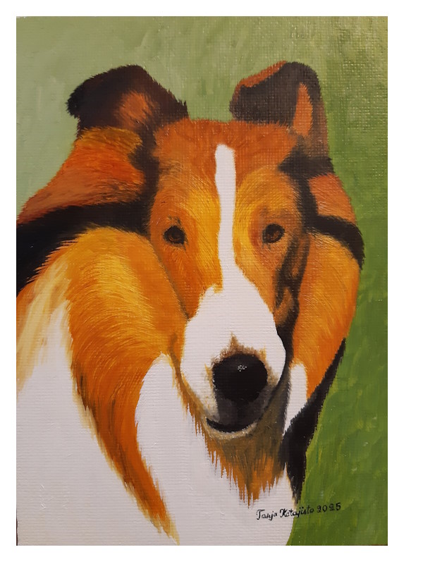 Collie