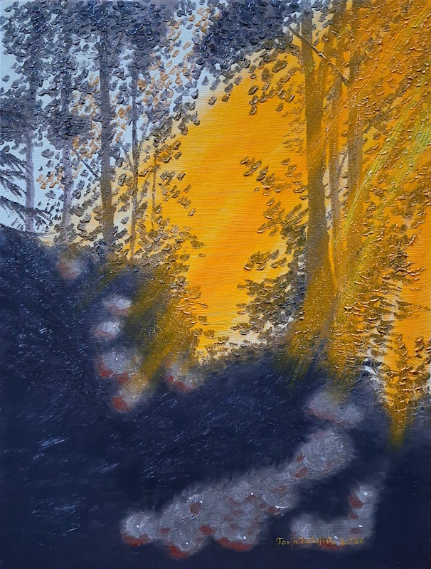 Oranssinen auringon kajo